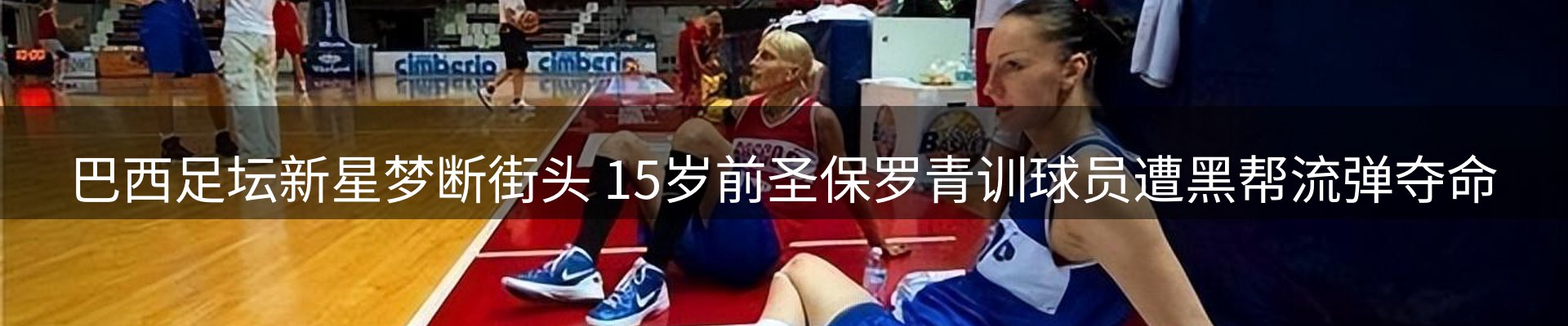 新闻动态